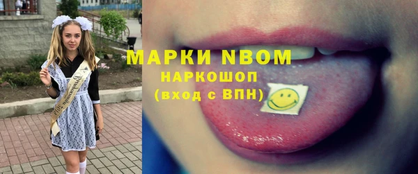 шишки Алзамай