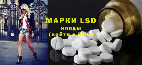 шишки Алзамай